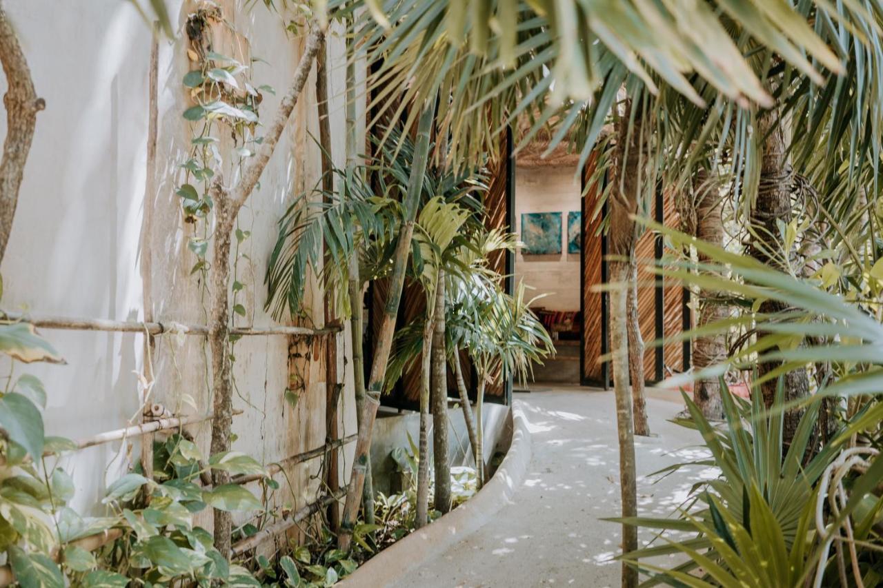 Orchid House 5*