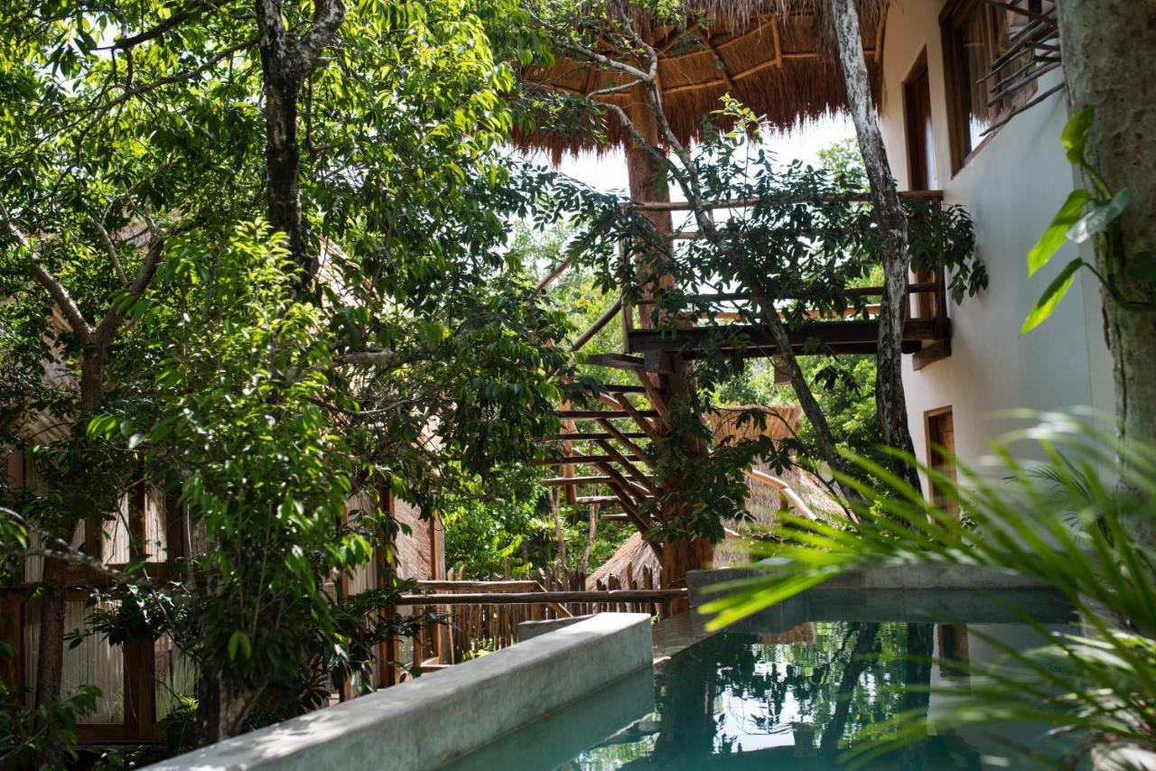 Orchid House 5*