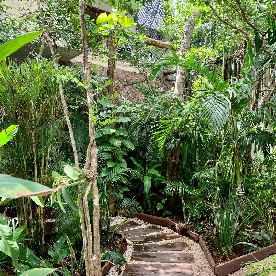 Hotel Orchid House Tulum