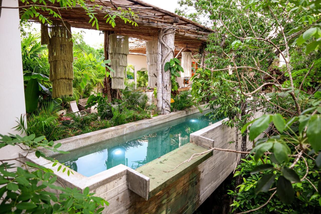 Orchid House 5*