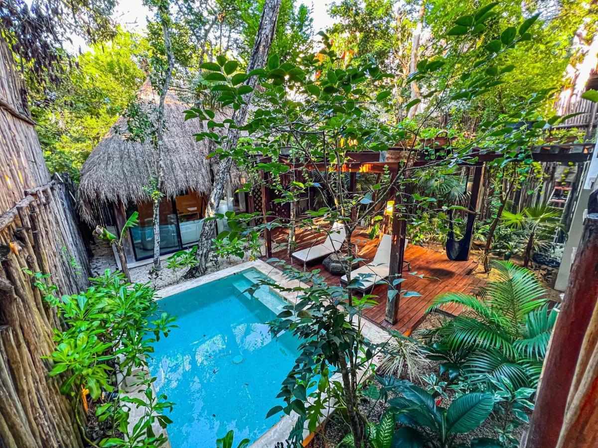 Orchid House 5*