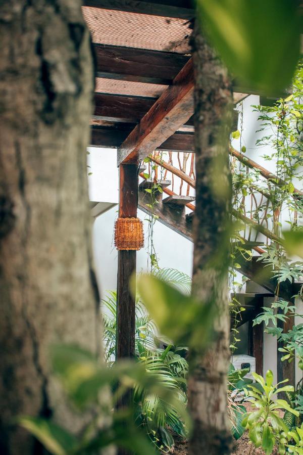 Orchid House