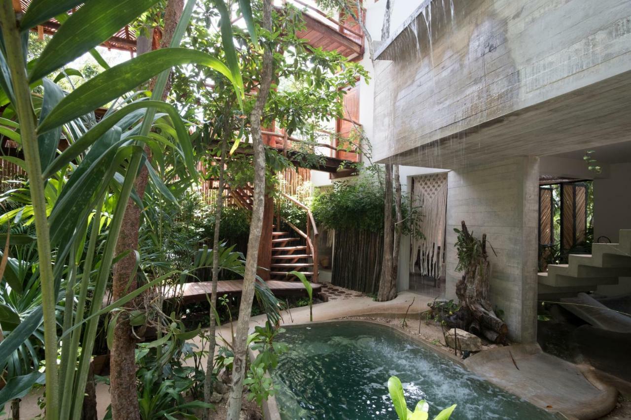 Orchid House